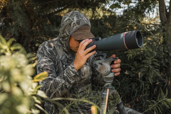 Why Bucks Disappear in July—and How to Still Pattern Them