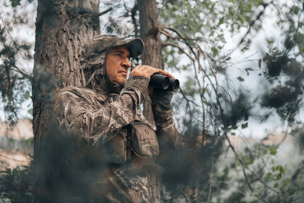 Summer Scouting on Public Land for Whitetails: Your Fall Success Starts Now