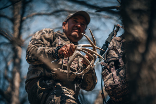 What Early Season Rub Lines Really Tell You About Buck Movement