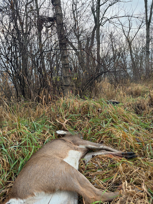 November Crunch Time: How to Hunt Bucks Locked Down with Does & Still Make a Move