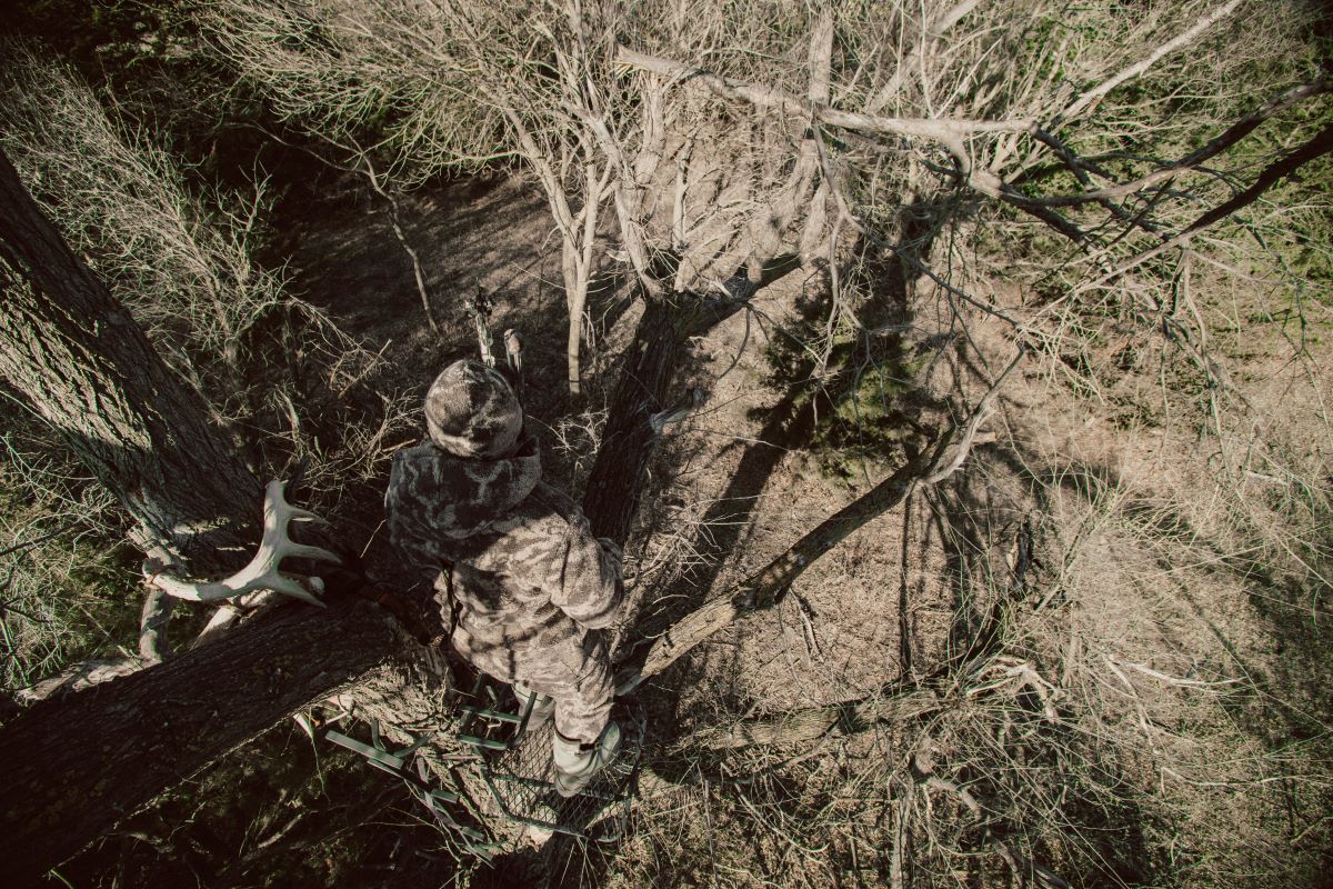 BackTrack a Blood Trail™ - Pre-Season Stand Set-Up Systems – Code of ...