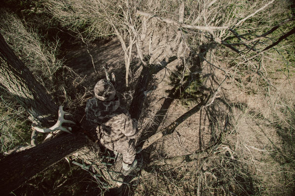 BackTrack a Blood Trail™ - Pre-Season Stand Set-Up Systems